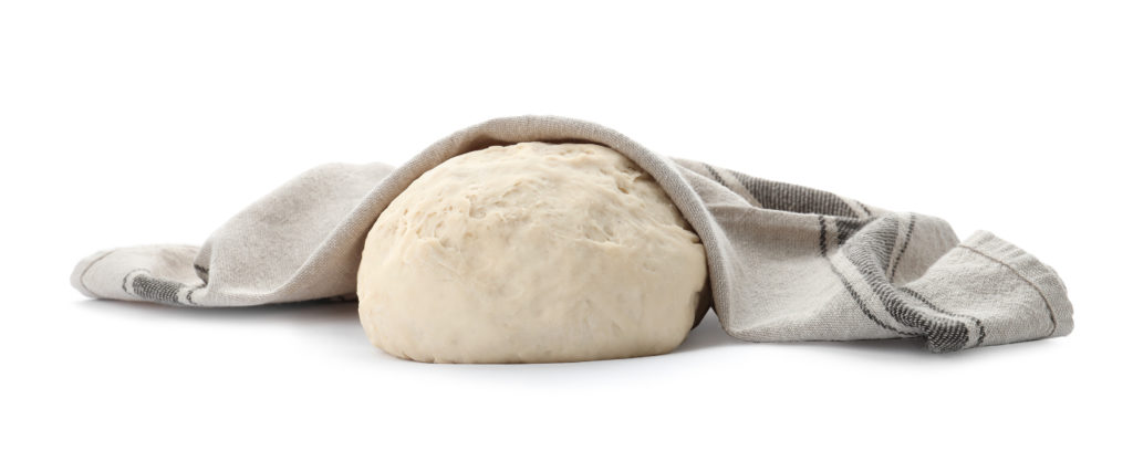 Pizza Fermentation Pizza Fermentation